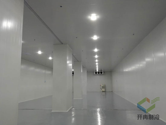 沈陽生物制劑冷庫建設(shè)標準  gsp診斷試劑冷庫