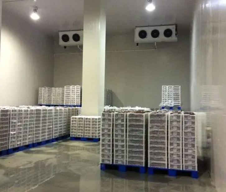 規范建造100平帶魚冷庫，為食品保鮮護航