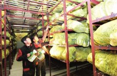 1000立方果蔬保鮮庫(kù)設(shè)計(jì)安裝要多少錢(qián)？