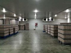 定制一個1000立方食品冷藏庫，需要多少錢？