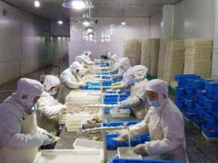 安裝一個3000立方低溫冷凍庫需要投資多少錢？
