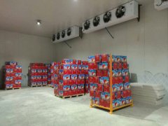 建造一個(gè)4000平方蘋果冷庫(kù)大概需要多少錢？